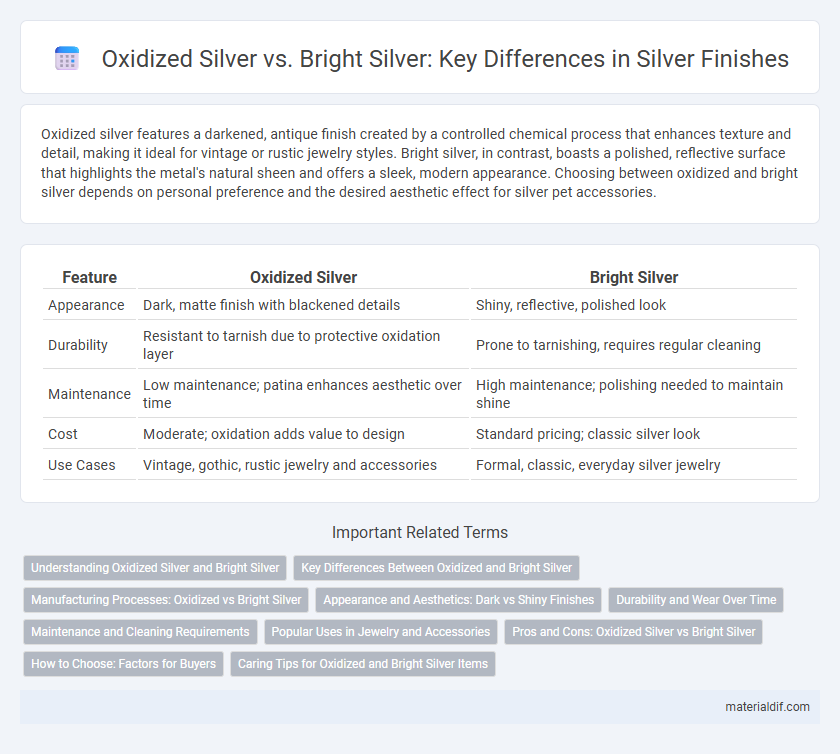Oxidized Silver vs. Bright Silver: Key Differences in Silver Finishes