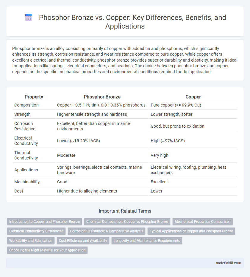 Phosphor Bronze vs. Copper: Key Differences, Benefits, and Applications