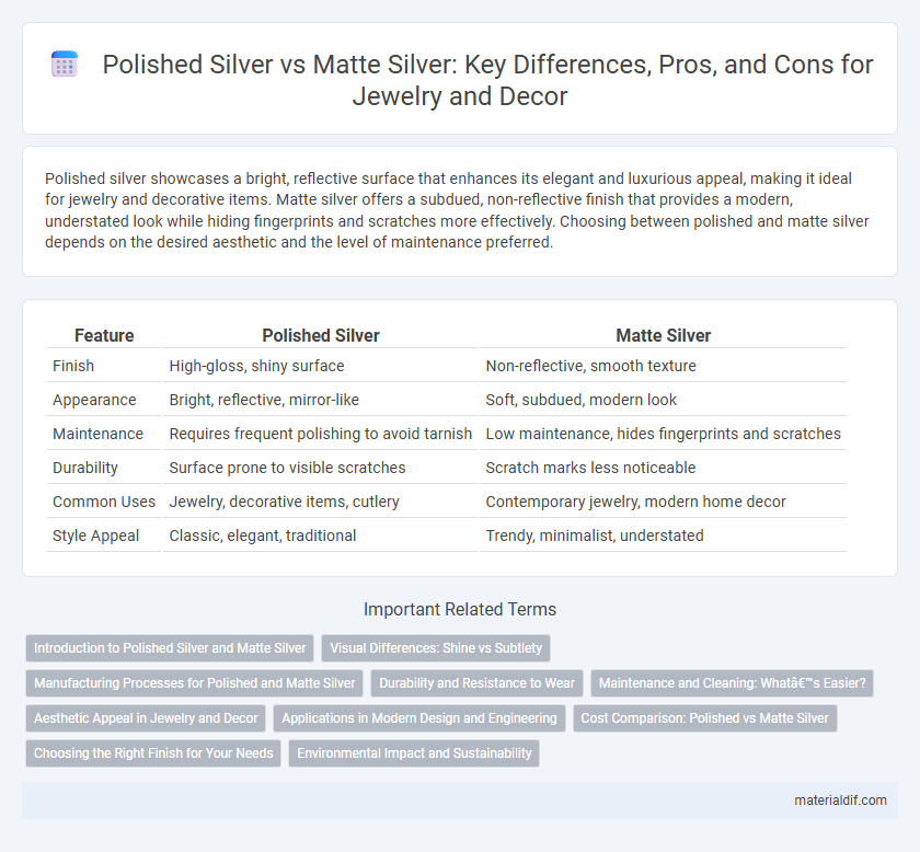 Polished Silver vs Matte Silver: Key Differences, Pros, and Cons for Jewelry and Decor
