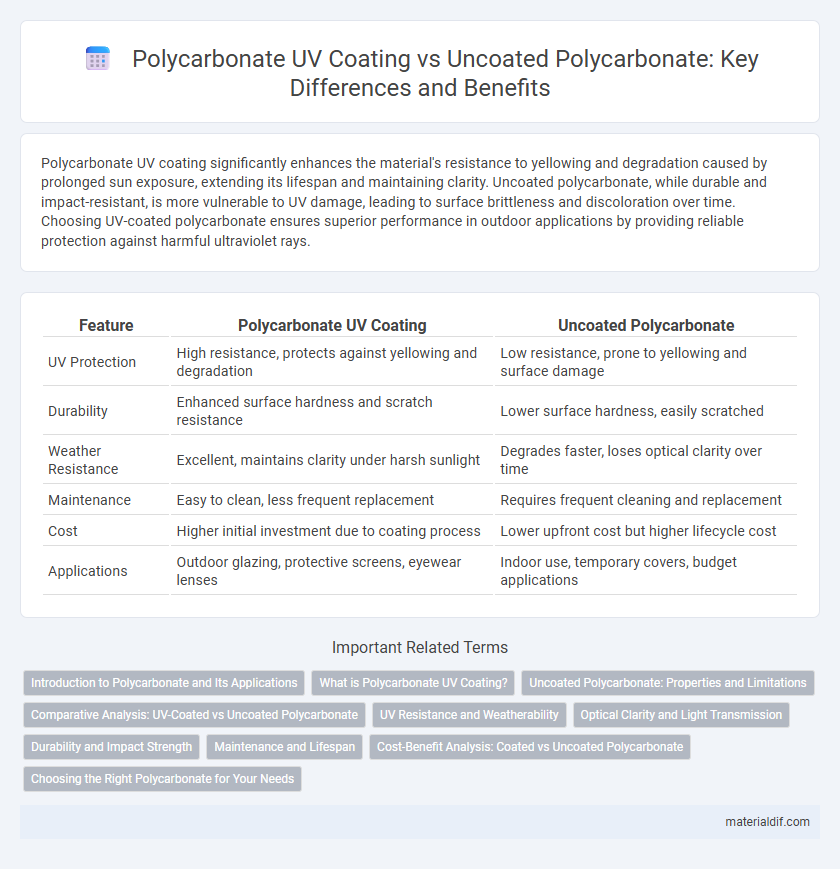 Polycarbonate UV Coating vs Uncoated Polycarbonate: Key Differences and Benefits