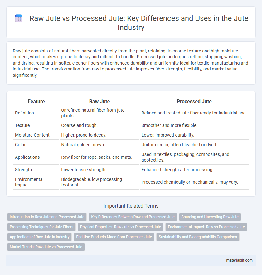 Raw Jute vs Processed Jute: Key Differences and Uses in the Jute Industry