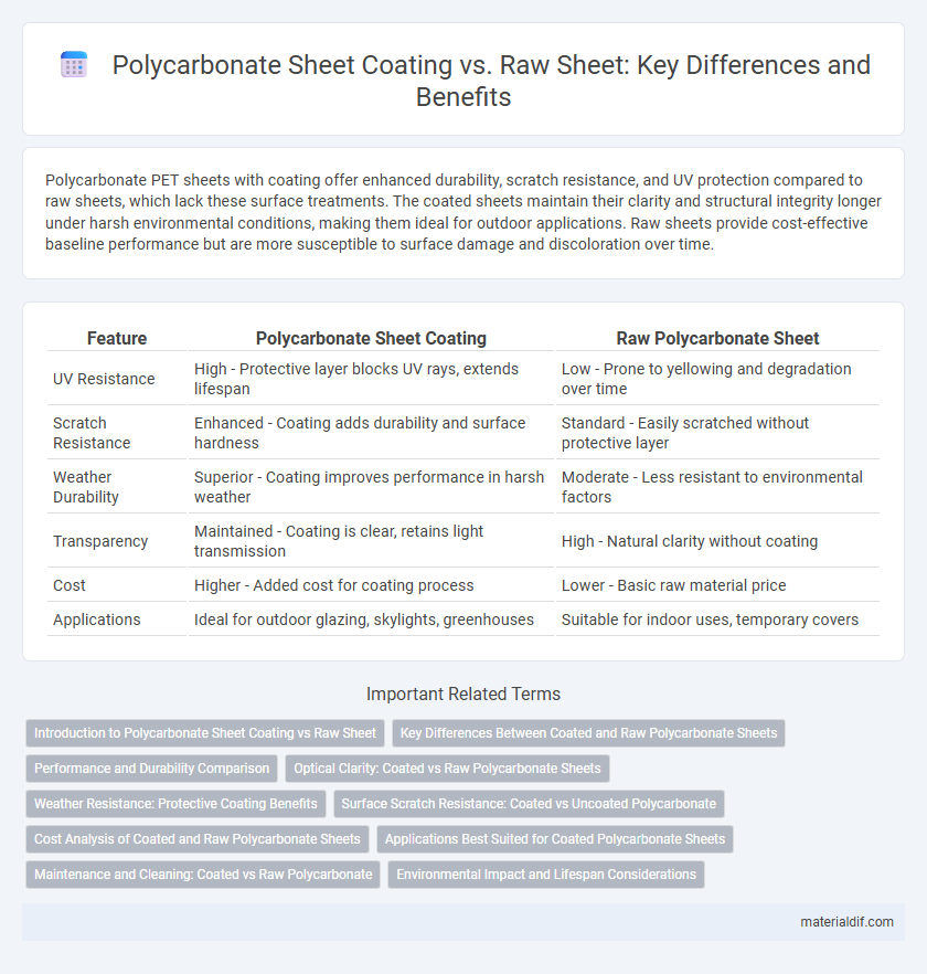 Polycarbonate Sheet Coating vs. Raw Sheet: Key Differences and Benefits