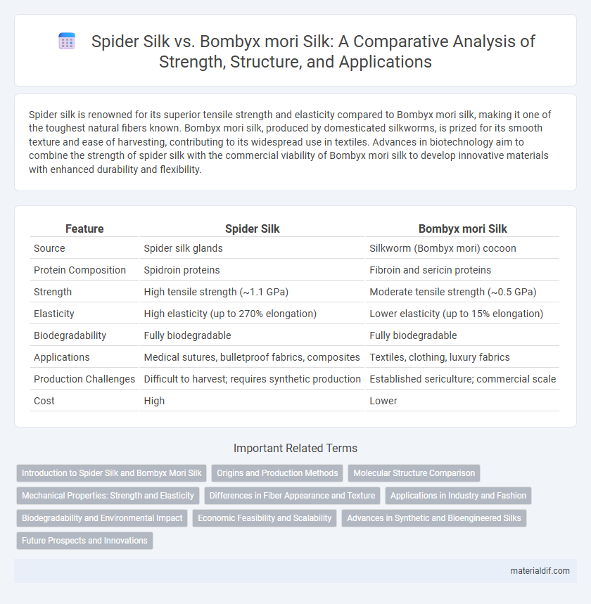 Spider Silk vs. Bombyx mori Silk: A Comparative Analysis of Strength, Structure, and Applications