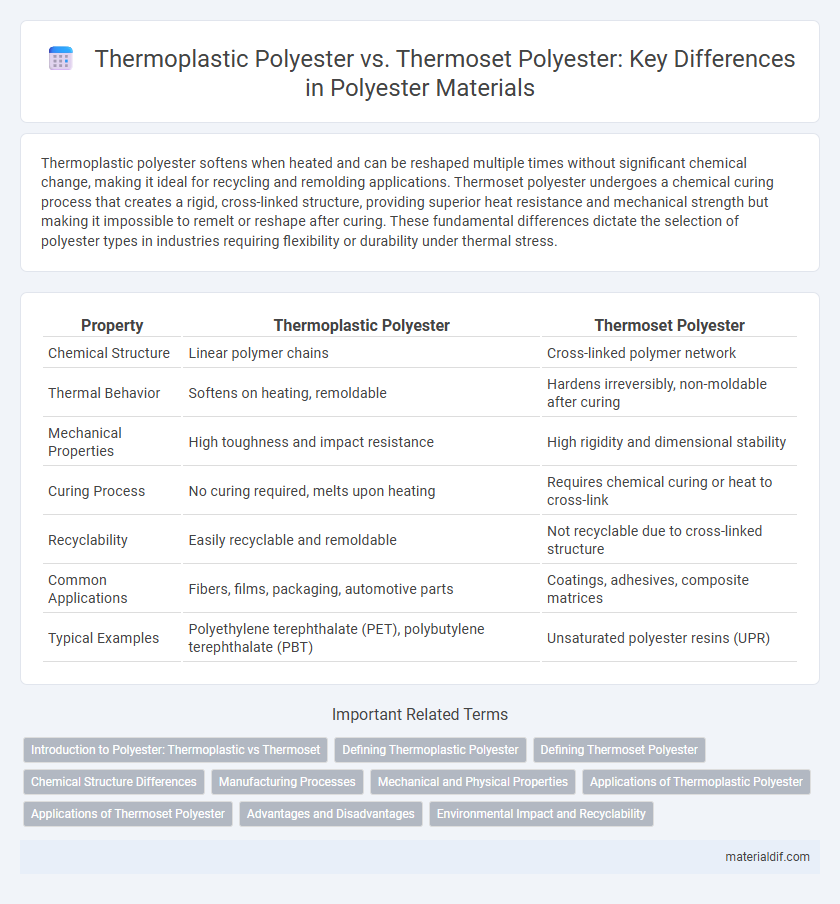 Thermoplastic Polyester vs. Thermoset Polyester: Key Differences in Polyester Materials
