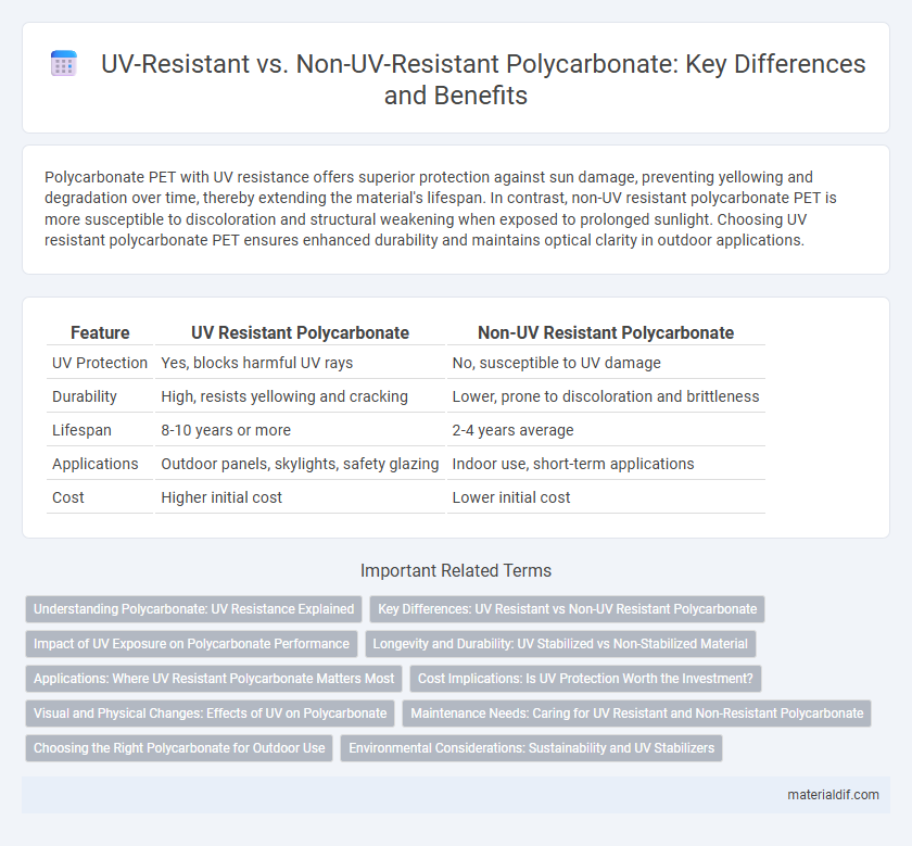 UV-Resistant vs. Non-UV-Resistant Polycarbonate: Key Differences and Benefits