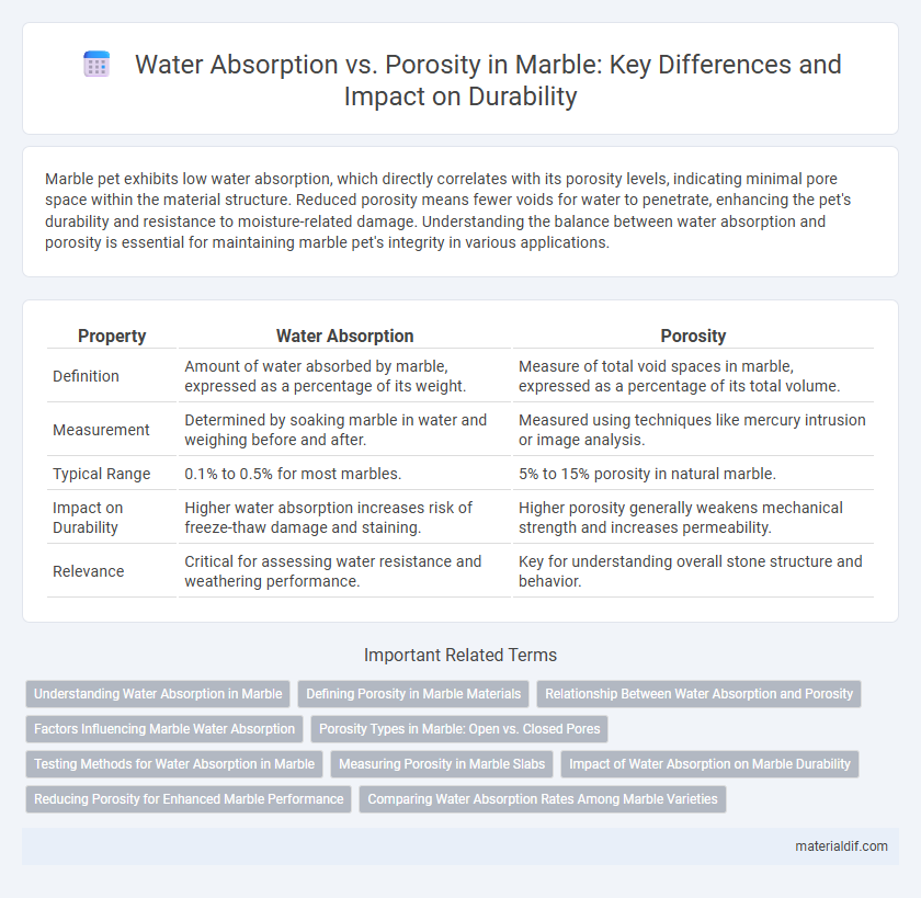 Water Absorption vs. Porosity in Marble: Key Differences and Impact on Durability